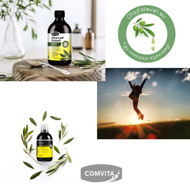 rolunk-jobb4 Olajfalevél Kivonat